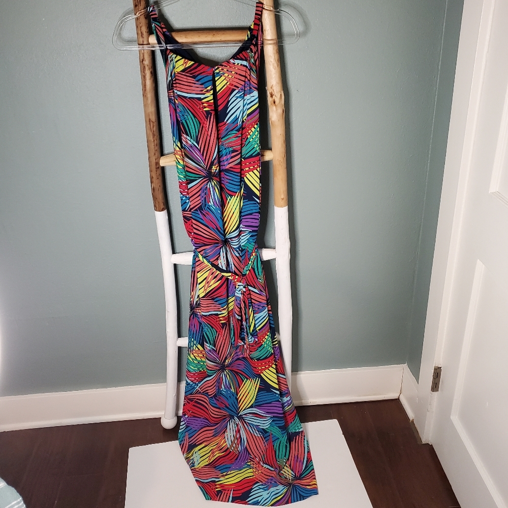 Bcbgmaxazria Mia maxi dress Large